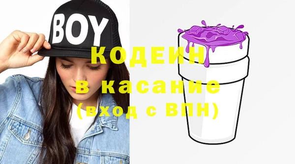 индика Баксан
