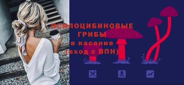 индика Баксан