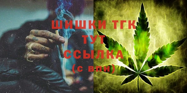 индика Баксан