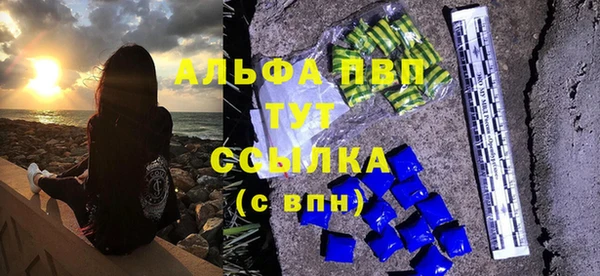 индика Баксан