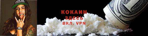 индика Баксан