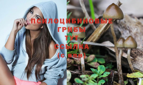 индика Баксан