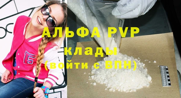 индика Баксан