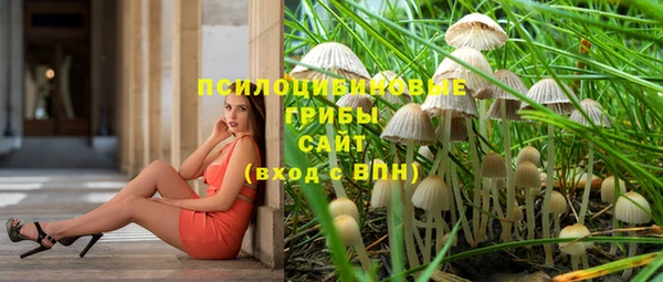 индика Баксан